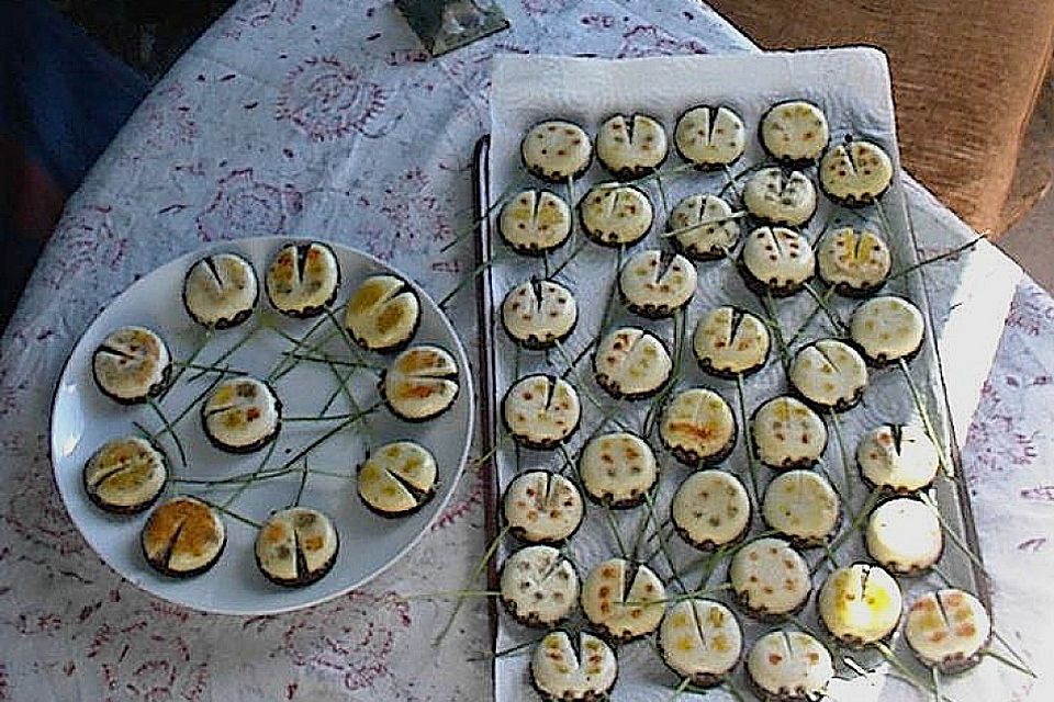 Lustige Käse-Käfer
