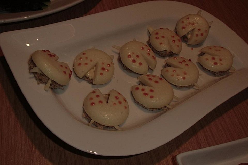 Lustige Käse-Käfer