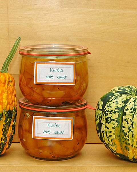 Apfel – Kürbis Kompott von Damaris16 Apfel – Kürbis Kompott von Damaris16