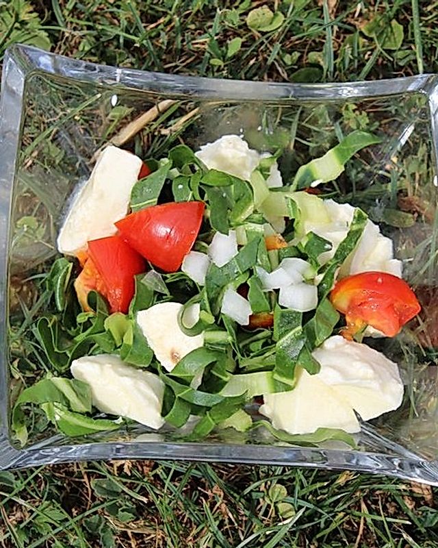 Griechischer Mangold - Tomaten - Salat