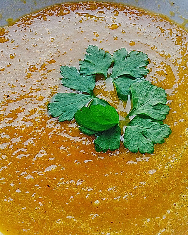 5 Elemente Karottensuppe