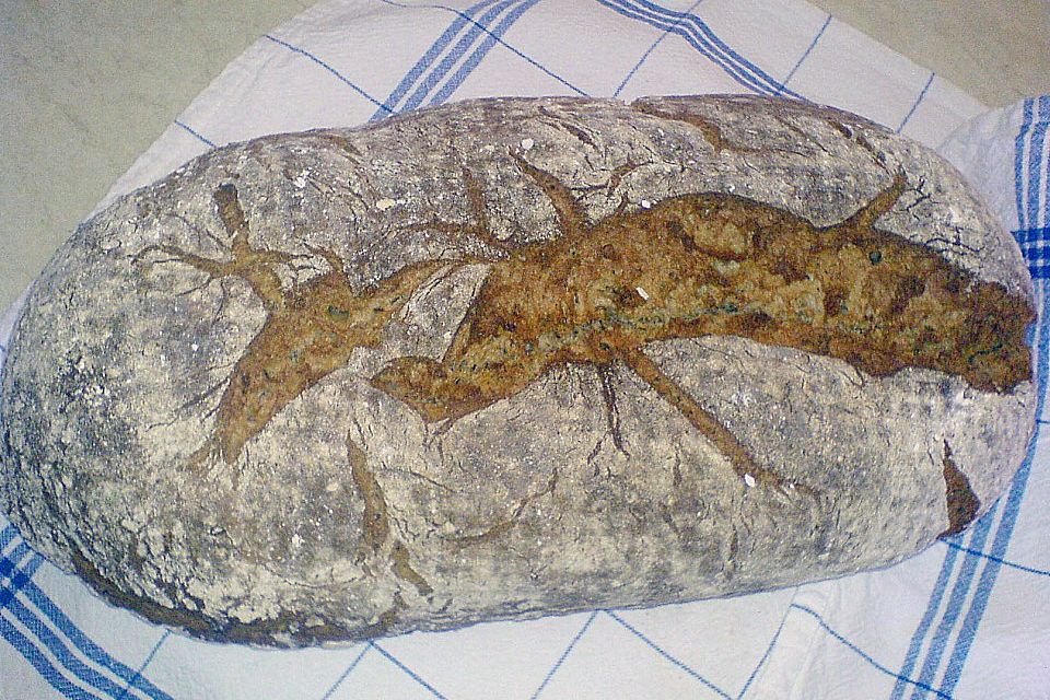 Roggenmischbrot mit Buttermilch TA 200