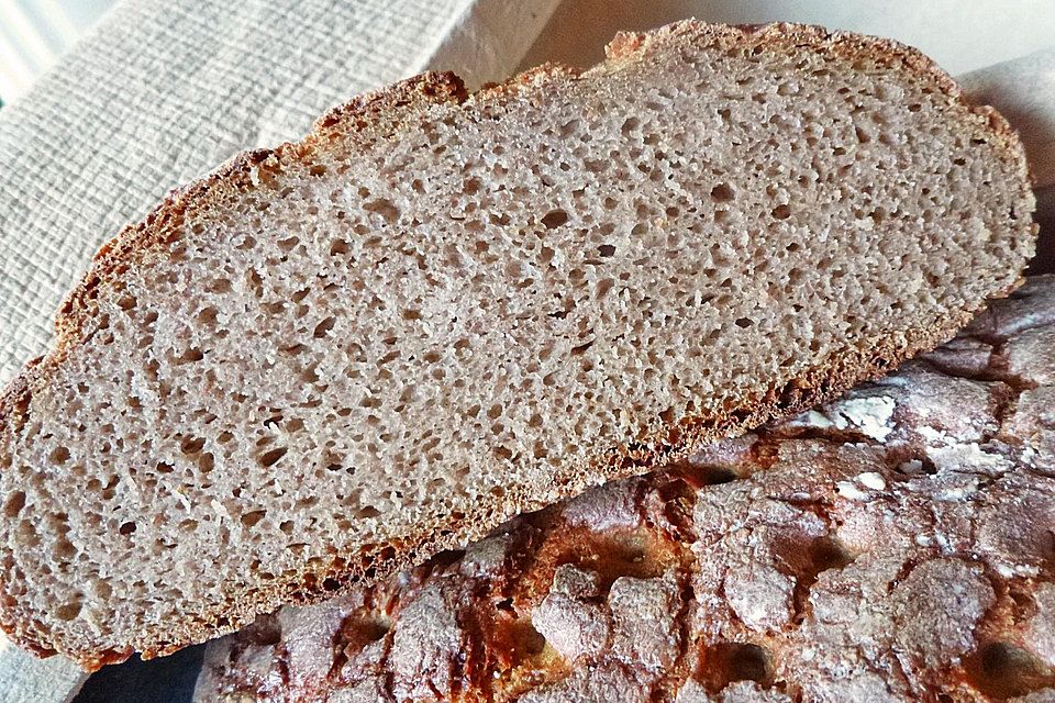 Roggenmischbrot mit Buttermilch TA 200