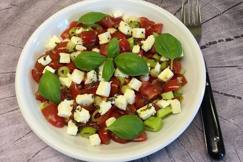 Tomaten - Mozzarella - Salat